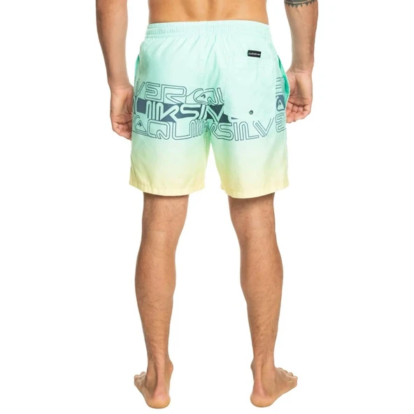 Quiksilver EQYJV04005 Wordblock 17 M Jamv Erkek Şort Mayo - 6