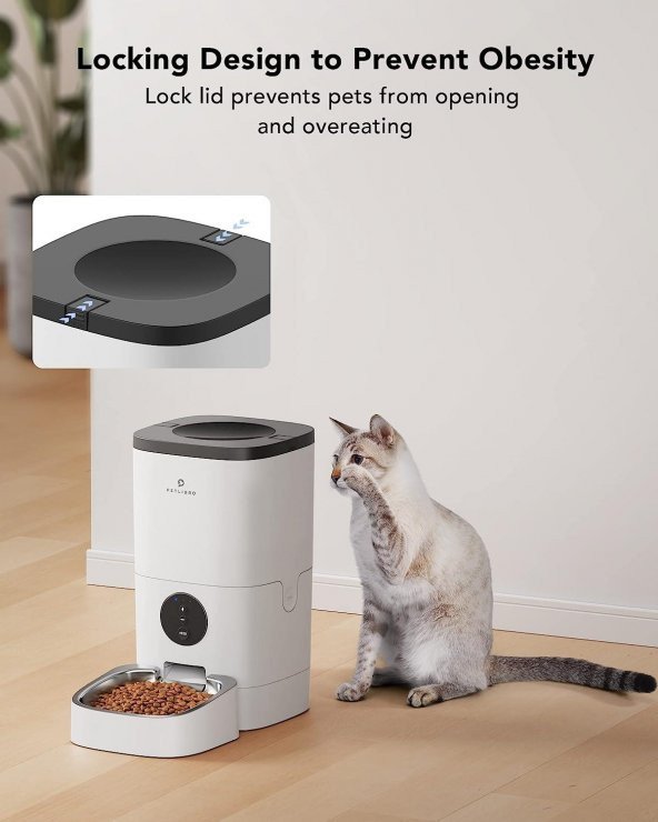 Petlibro Wifi 6L Sesli Otomatik Evcil Hayvan Besleyici - 4