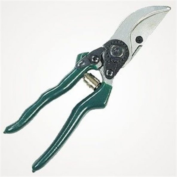 RT53139 BUDAMA MAKASI