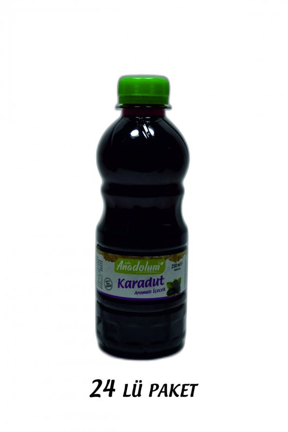 KARADUT SUYU 250 ML 24 LÜ PAKET