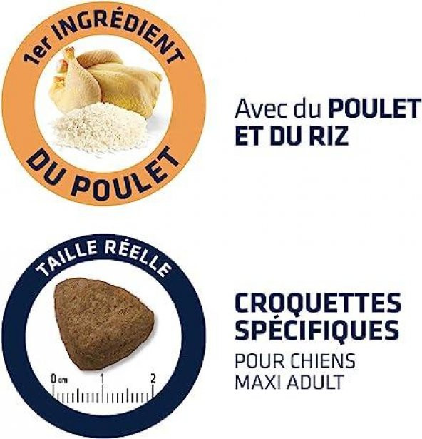 Advance Maxi Adult Tavuklu ve Pirinçli Büyük Irk Yetişkin Köpek Maması 14 KG - Resim 4