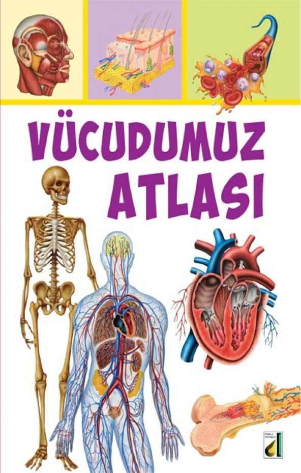 VÜCUDUMUZ ATLASI ürün görseli