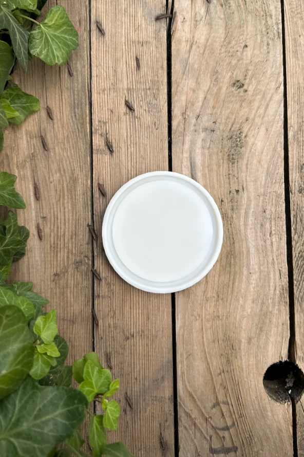 Dairesel Şekilli Tepsi Kalıbı (110mm çap x10mm kalınlık) (Silikon) ( 1 Adet ) - Resim 3