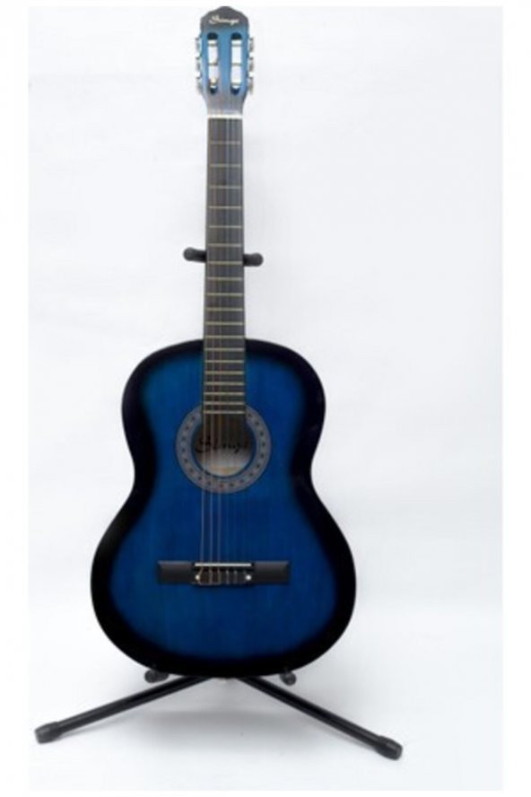 Aydın Müzik Simge Gitar
