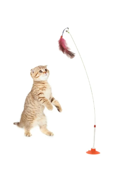 YENİ VANTUZLU 90 CM OLTA