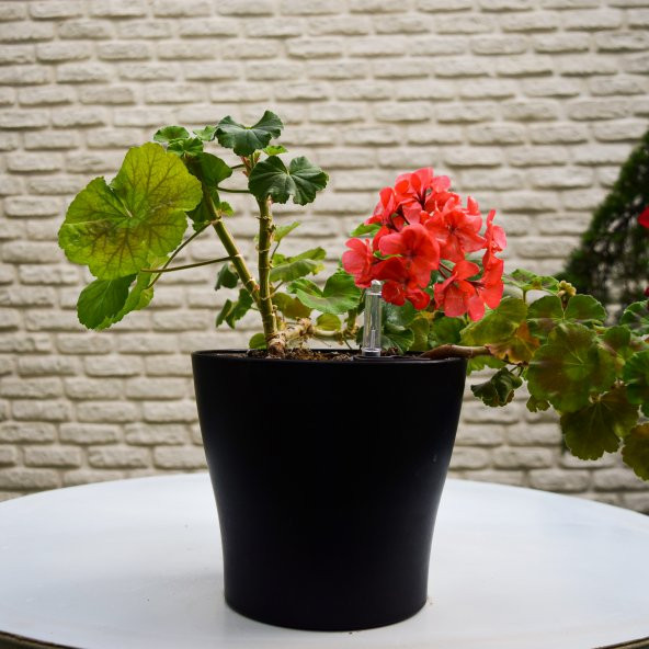 Biorfe 4 adet Kendi Kendini Sulayan Akıllı Saksı Seti - 3