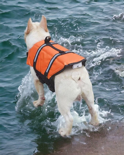 Köpek Can Yeleği, Köpekler için Reflektörlü Yüzme Yardımcısı - 3