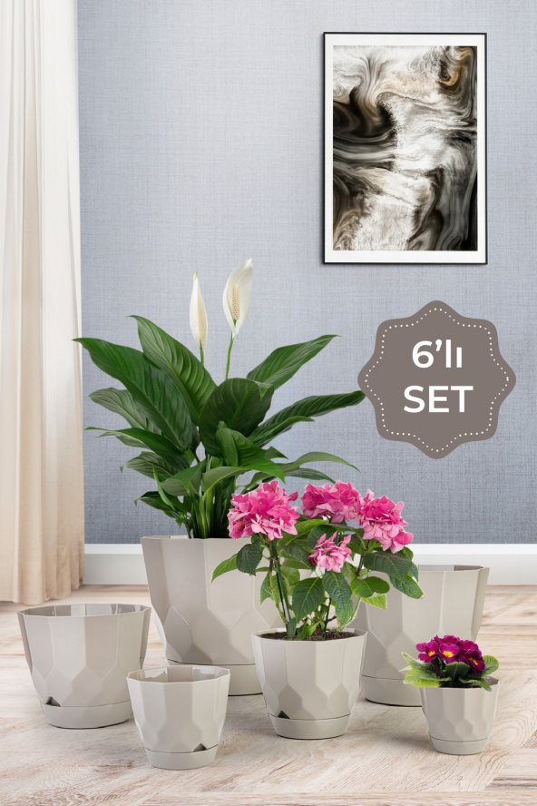 Lillium Saksı 6lı Set Bej