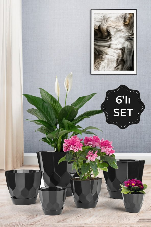 Lillium Saksı 6lı Set Siyah