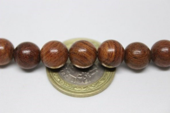 Kan Ağacı YARIM Dizi 10mm (18cm uzunluğundadır) - Resim 4