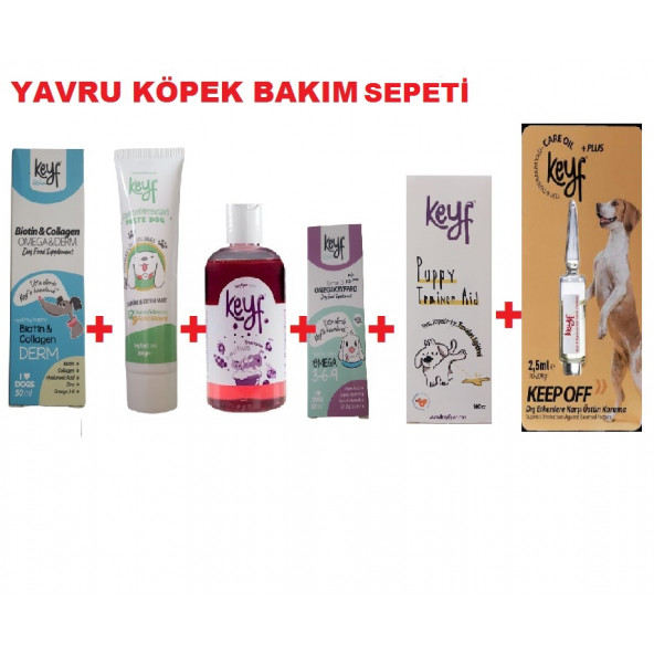 YAVRU KÖPEK BAKIM  SEPETİ