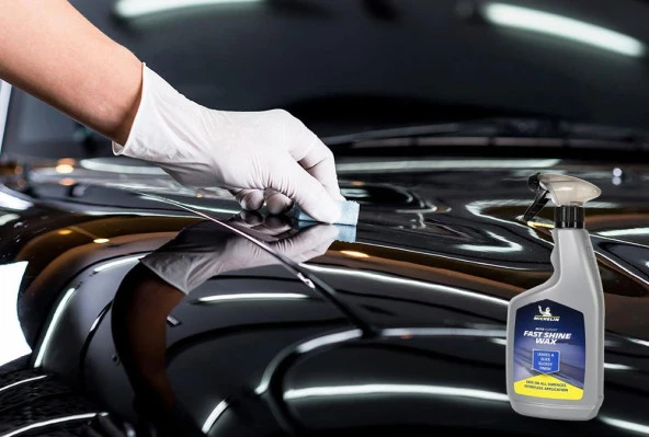 Michelin MC31951 650ml Hızlı Cila - 8