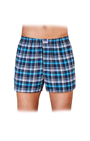 Erkek Desenli Poplin Boxer Berrak-1052