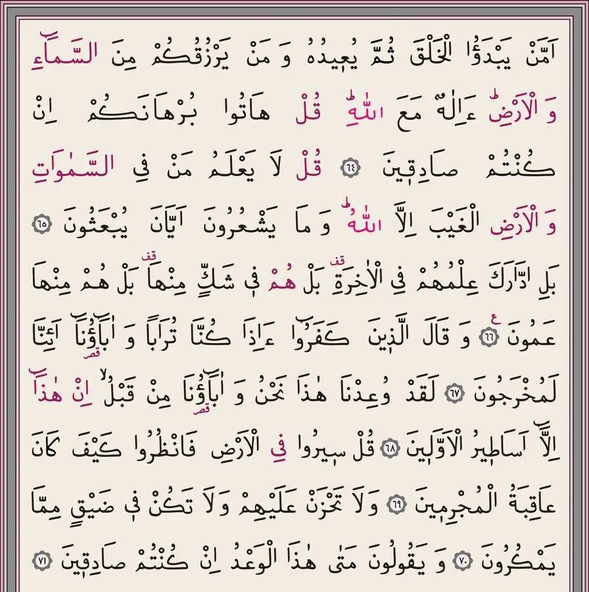 Hafız Boy Kadife Kur'an-ı Kerim (Pudra  Pembe, Yaldızlı, Mühürlü) - 4