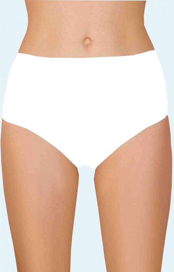 Kadın Likralı 3 Lü Bato Külot Berrak-2108 - 2