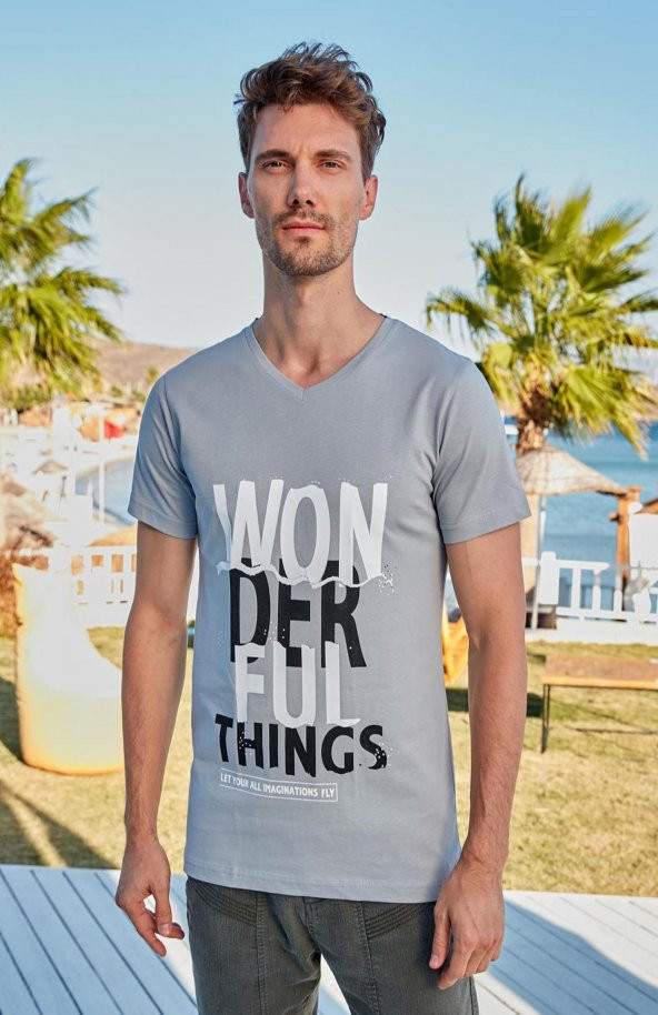 Erkek Tişört Berrak-4075