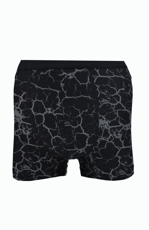 Erkek Desenli Likralı Penye Boxer Berrak-4480 - 5
