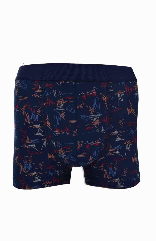 Erkek Desenli Likralı Penye 6 lı Boxer Berrak-4480 - 4