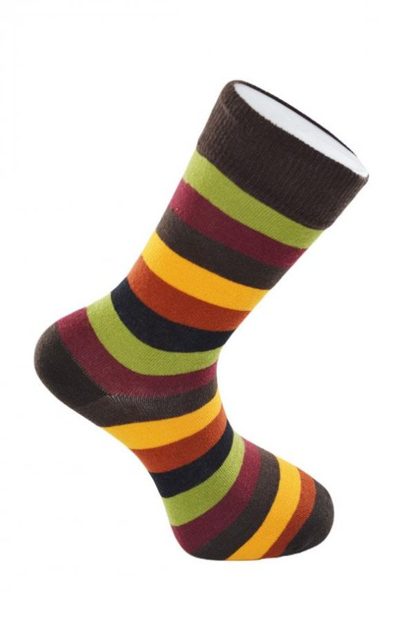 Dode Flora Erkek Pamuk Dikişsiz Kalın Çizgili Renkli Konforlu Rahat Özel Seri 6'lı Soket Çorap - 3