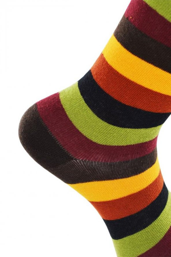 Dode Flora Erkek Pamuk Dikişsiz Kalın Çizgili Renkli Konforlu Rahat Özel Seri 6'lı Soket Çorap - 4