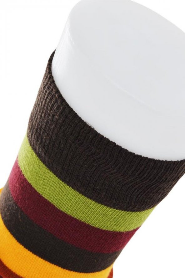 Dode Flora Erkek Pamuk Dikişsiz Kalın Çizgili Renkli Konforlu Rahat Özel Seri 6'lı Soket Çorap - 11