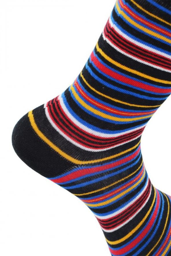 Dode Flora Erkek Pamuk Dikişsiz İnce Çizgili Renkli Konforlu Rahat Özel Seri 6'lı Soket Çorap - 12