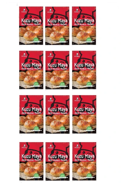 Pakmaya Kuru Maya 100 Gr X 12 Adet