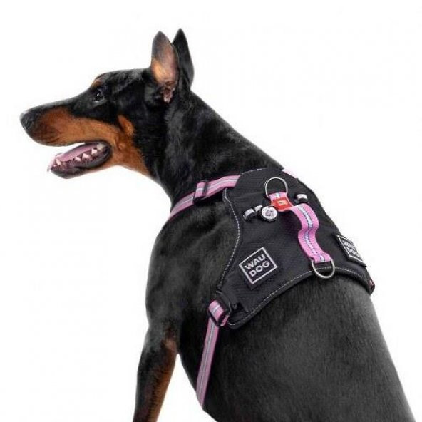 Waudog Collar Fosforlu ve QR Pasaportlu Köpek Göğüs Tasması, L, Pembe 25mm