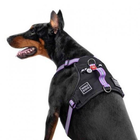Waudog Collar Fosforlu ve QR Pasaportlu Köpek Göğüs Tasması, S, Mor 20mm