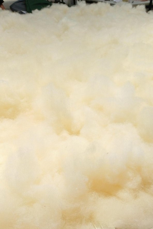 Kokusuz Saf Doğal Merinos Yünü Yıkanmış Taranmış Antialerjik Yumuşak Yün 5 KG - Resim 2