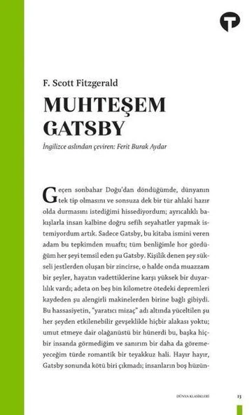 Muhteşem Gatsby ürün görseli