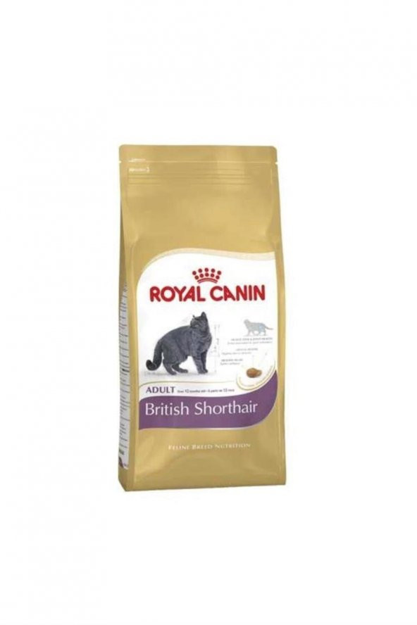 British Shorthair Adult Yetişkin Kedi Maması 4 kg