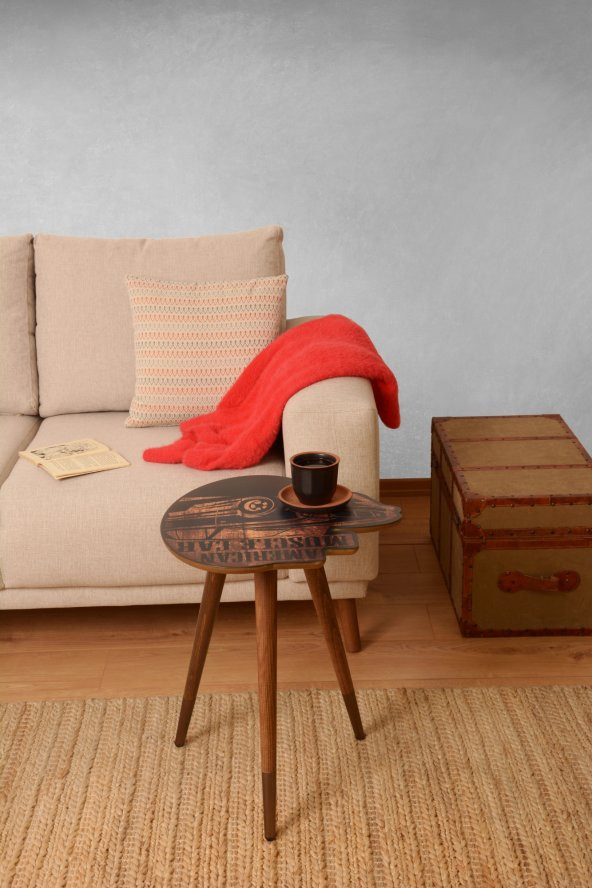 Amerikan Arabası Tasarım Baskılı Dekoratif Modern Ahşap Yan Sehpa 45x45 cm - 3