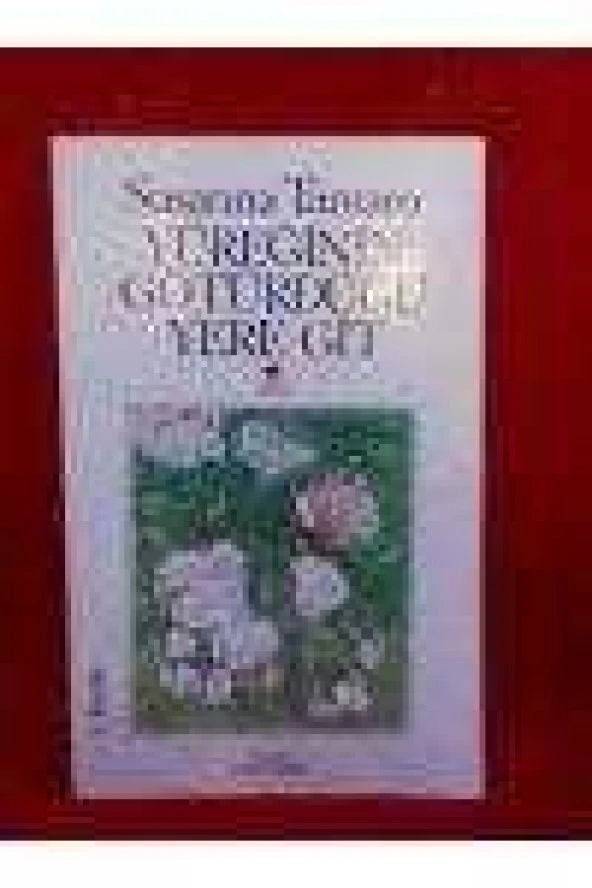 YÜREĞİNİN GÖTÜRDÜĞÜ YERE GİT ürün görseli 1