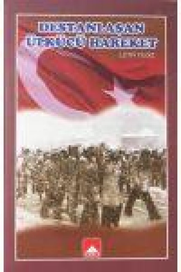 DESTANLAŞAN ÜLKÜCÜ HAREKET / Cilt: 12 ürün görseli 1
