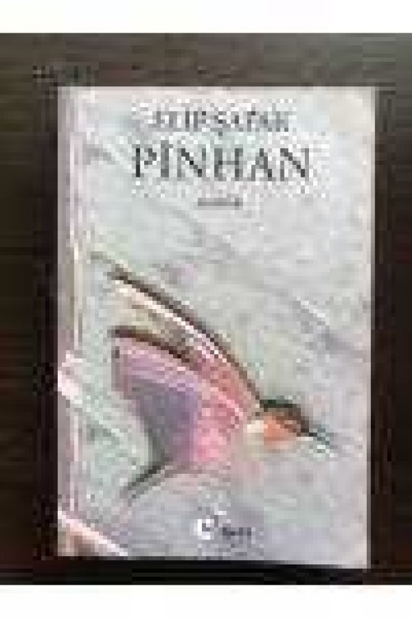 PİNHAN - 1