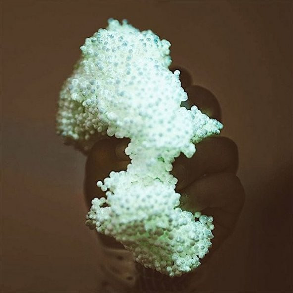 Lino Kurumayan Köpüklü Oyun Hamuru  10 gr Pvc Kutu 4lü - 2