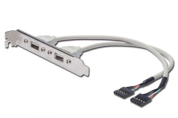 ASSMANN AK-300301-002-E IDC-2xUSB2.0 0.25m Çevirci