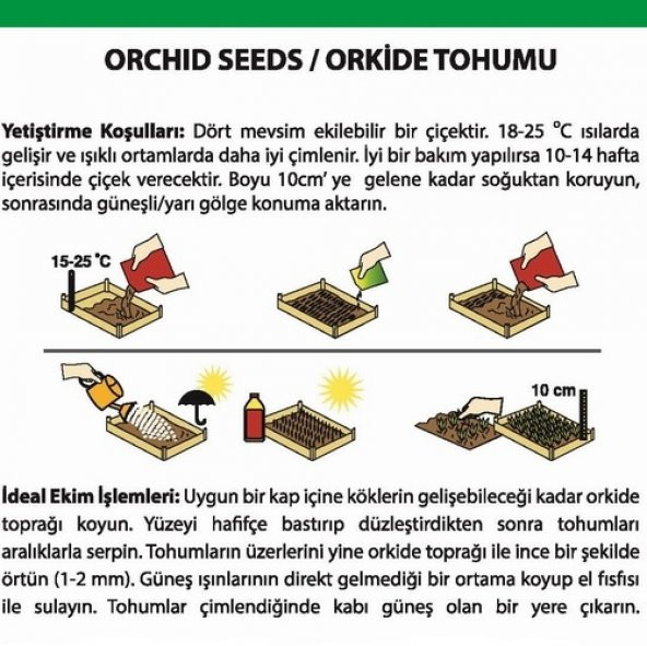 DAY 100 Adet 10 FARKLI Renk Cattleya Orkide Tohumu + 10 Adet HEDİYE K.RENK Primula Çiçeği Tohumu