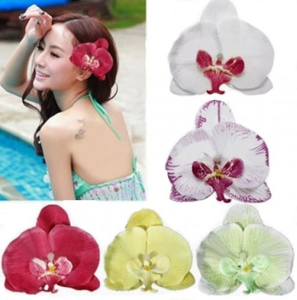 DAY 100 Adet 10 FARKLI Renk Phalaenopsis Orkide Tohumu + 10 Adet HEDİYE K.RENK Dahlia Çiçeği Tohumu ürün görseli 1