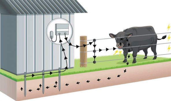 Güç Ayarlı Ayarlanabilir Elektrizatör Hayvan Şok Cihazı - 9