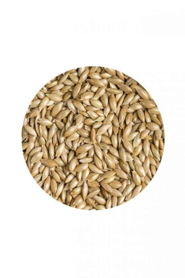 Sade Kanarya Yemi (Aspur) 1 Kg - 2