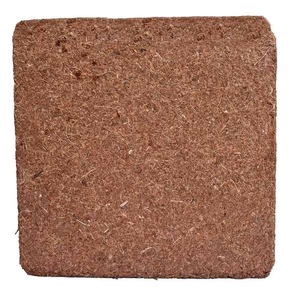 Biorfe Premium Cocopeat, Sıkıştırılmış Hindistan Cevizi Torfu - 5 kg