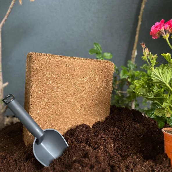 Biorfe Premium Cocopeat, Sıkıştırılmış Hindistan Cevizi Torfu - 5 kg - 2