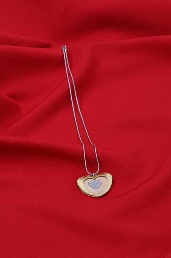 ÖZEL SERİ GOLD/GÜMÜŞ KALP ÇELİK KOLYE-ÇKOL105 - 6