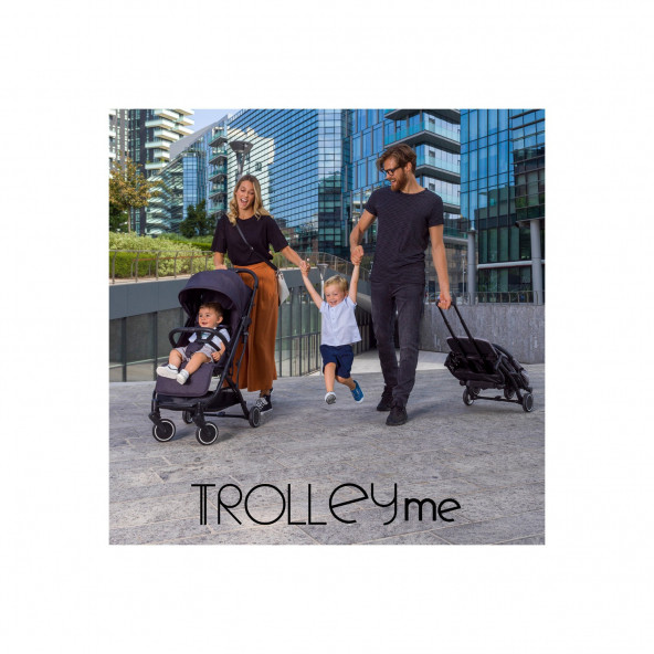 Chicco Trolley Me Bebek Arabası Ligth Grey - 2