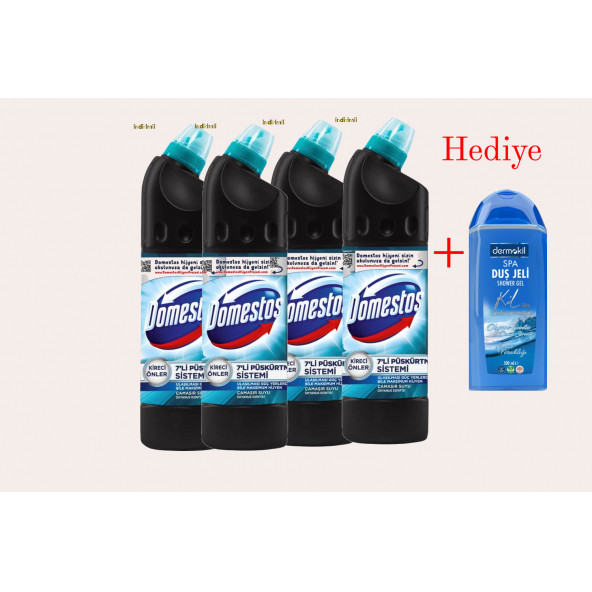 Domestos 7'li Püskürtme Okyanus Esintisi 750 ml Çamaşır Suyu 4 adet