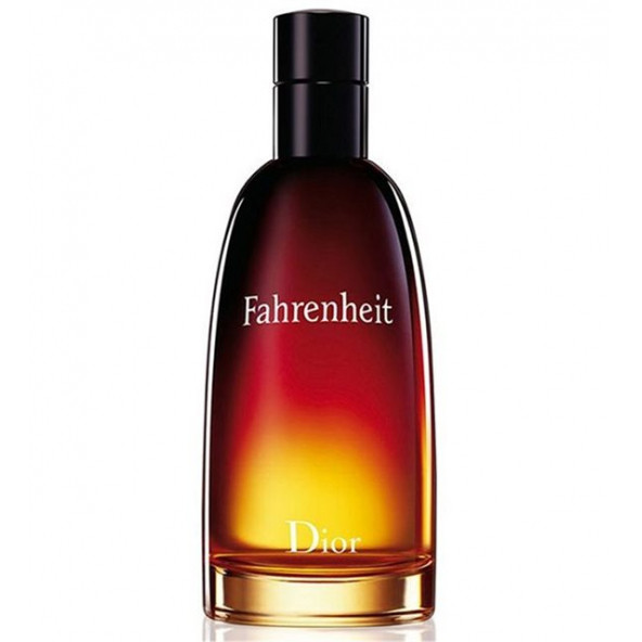 Dior Fahrenheit EDT 100 ml - 2