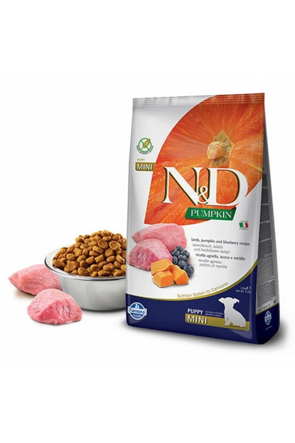 N&D Pumpkin Balkabaklı Kuzulu Yaban Mersinli Küçük Irk Yavru Köpek Maması 2,5 Kg - Resim 3