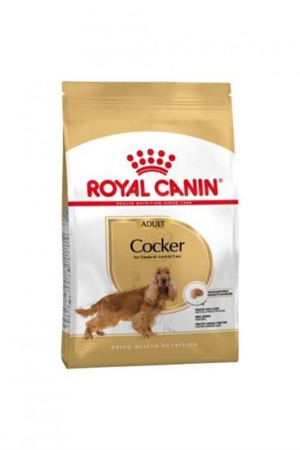 Royal Canin Cocker Irka Özel Yetişkin Köpek Maması 3 kg